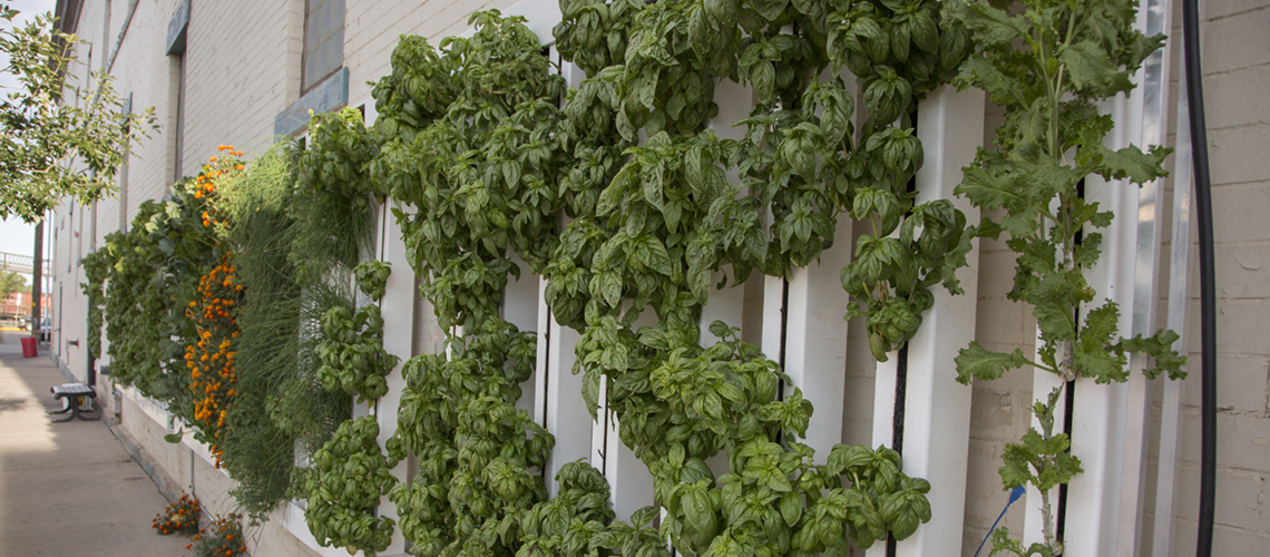 Grants available for vertical gardens to provide fresh, local food to cities