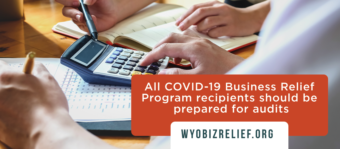 Audit of COVID-19 Business Relief Program recipients