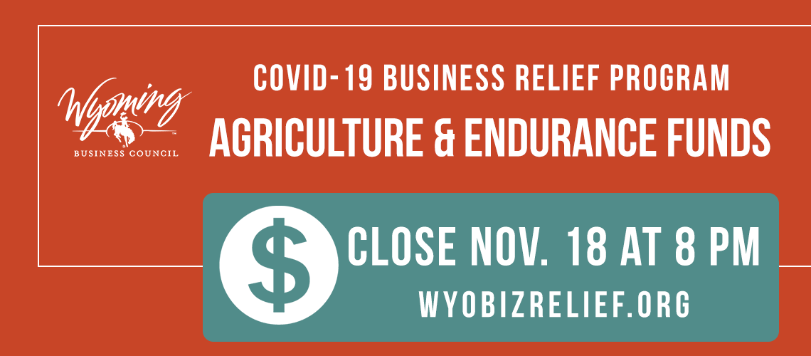 COVID-19 Business Relief funds close on Wednesday