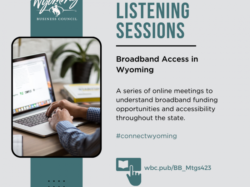 BB Webinar Instagram Post (2)