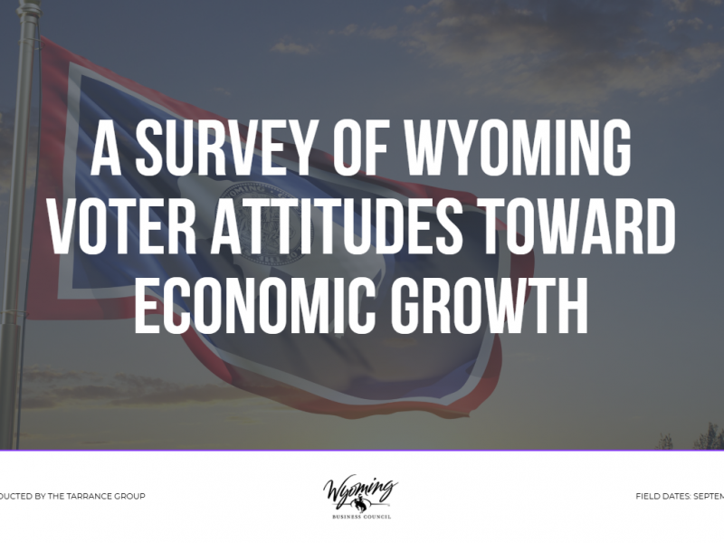 A Survey of Wyoming Voter Attitudes Toward Economic Growth
