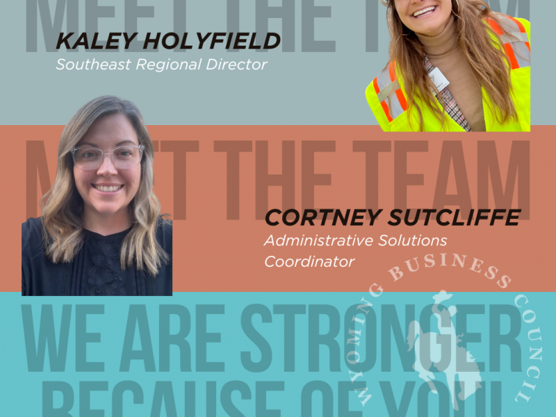 WBC New Team 2024 WBC New Team 2024