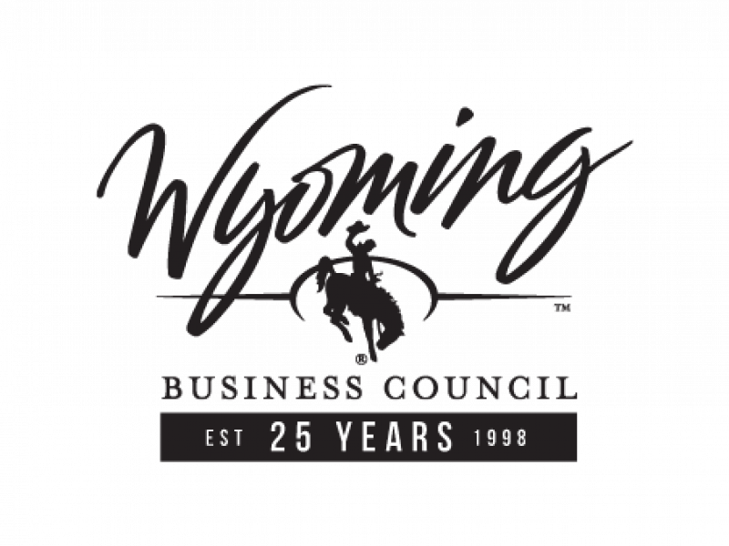 25th Anniversary Logo Black