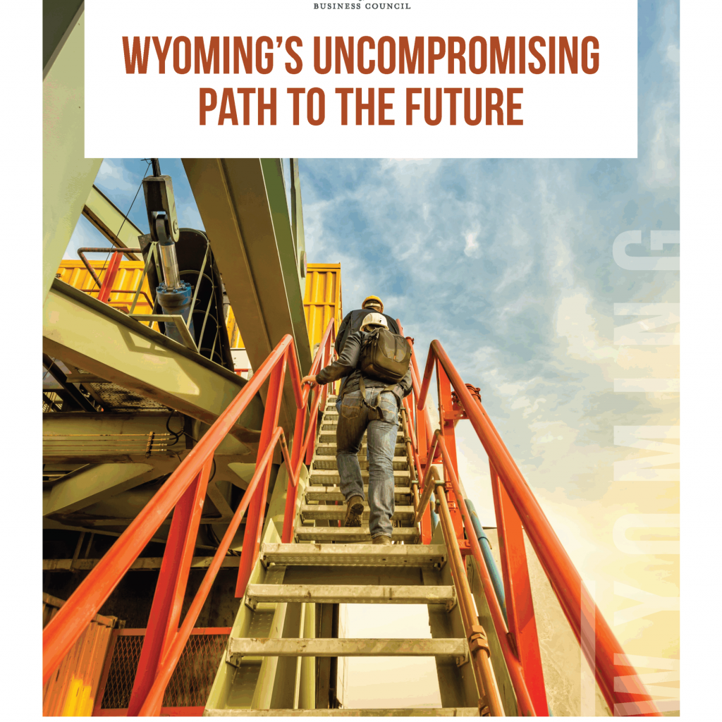 WBC_25_AnnualReport_Page_01