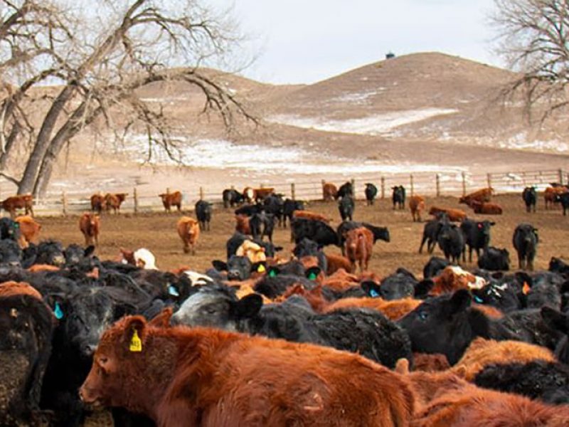 agriculture-webinar-news