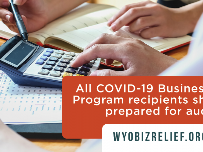 Audit of COVID-19 Business Relief Program recipients