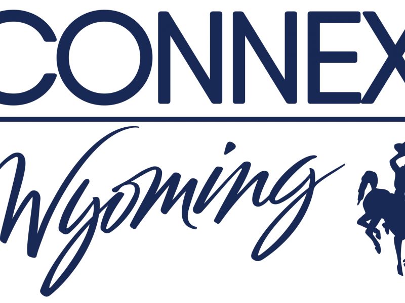 connex-logo