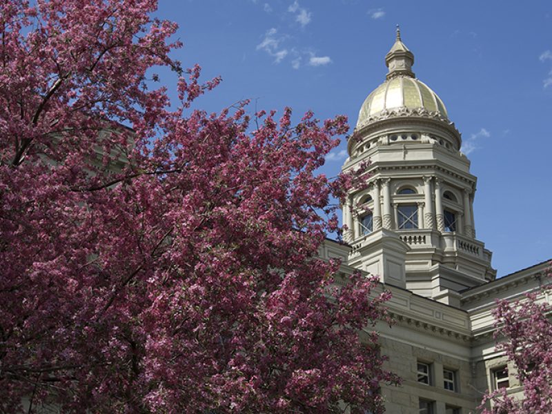 Wyoming Business Relief Program issues first grant payments, application period remains open