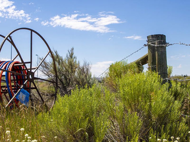 Wheel of hose for irrigation.