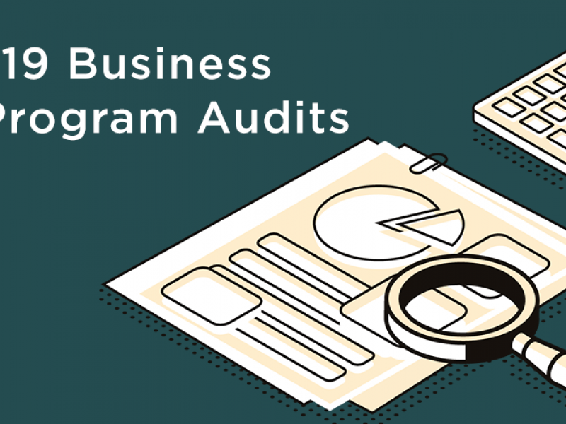 Sample pool of BRP recipients to be audited