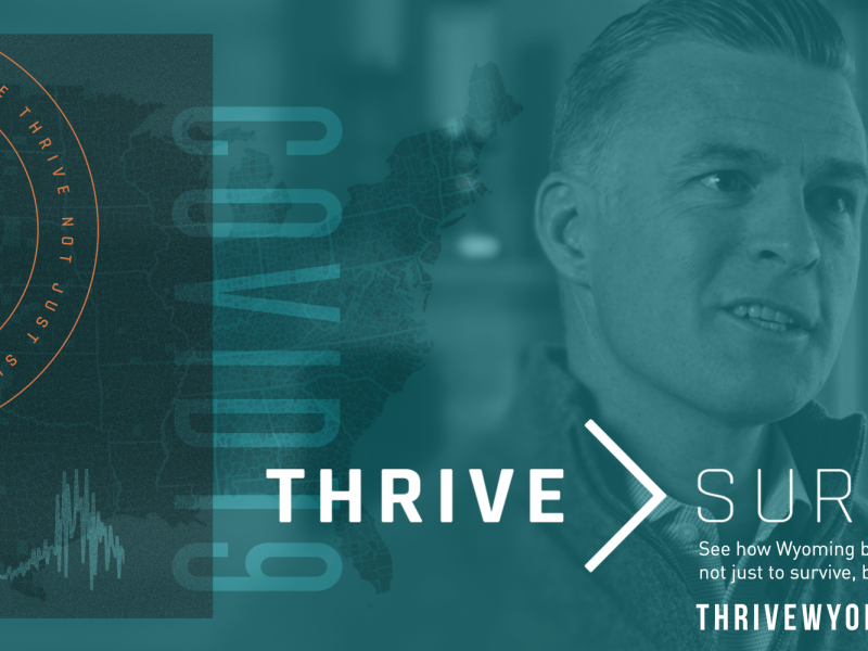 Business Council Launches Thrive > Survive Campaign