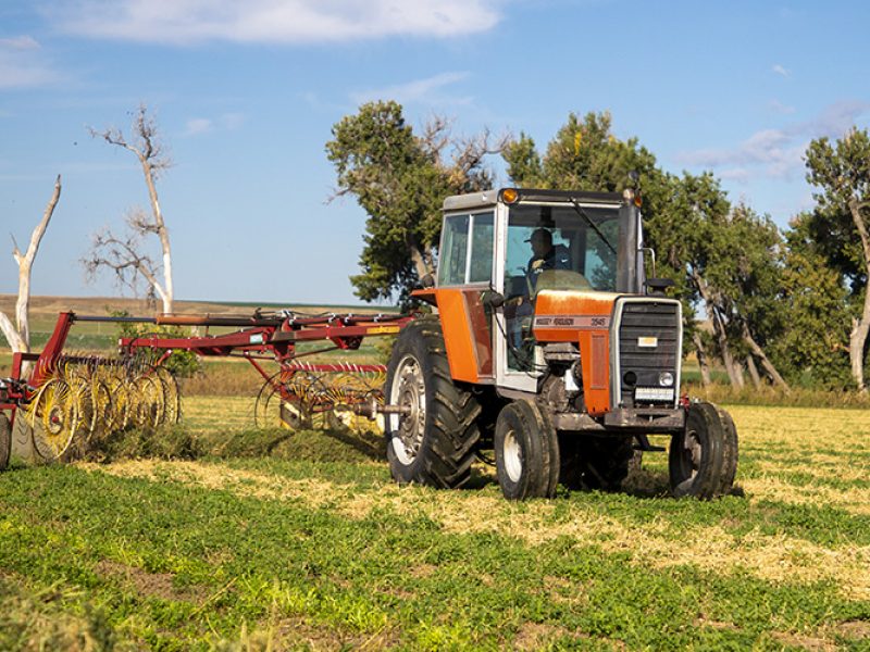 USDA grants available to Wyoming ranchers and farmers
